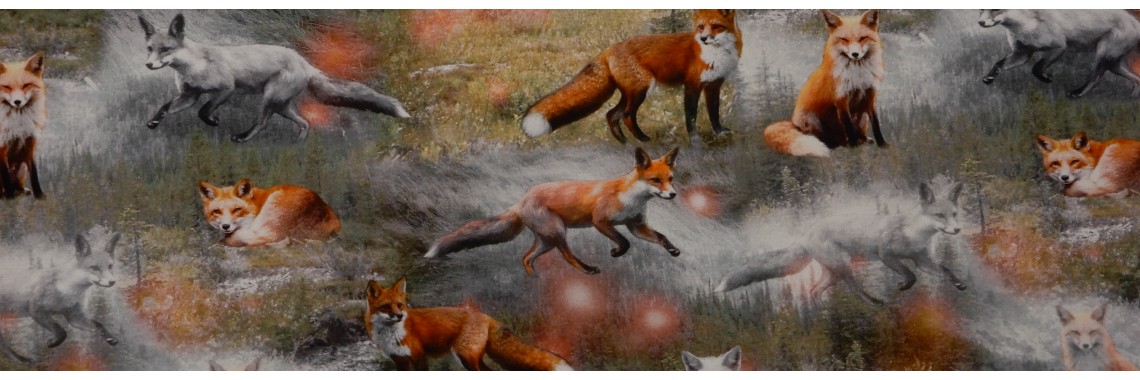 Foxs